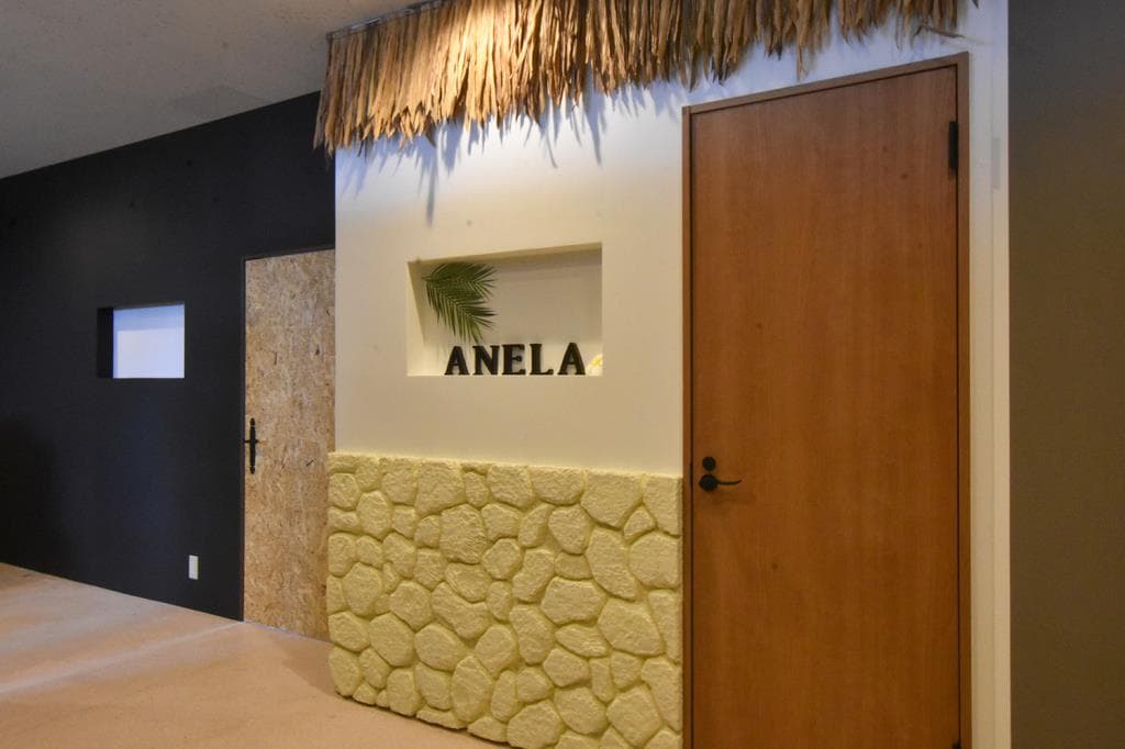 Anela 1