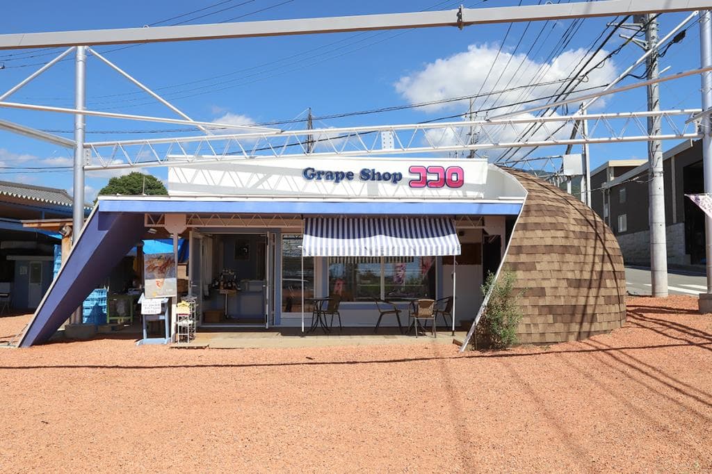grape shop cocolo 5