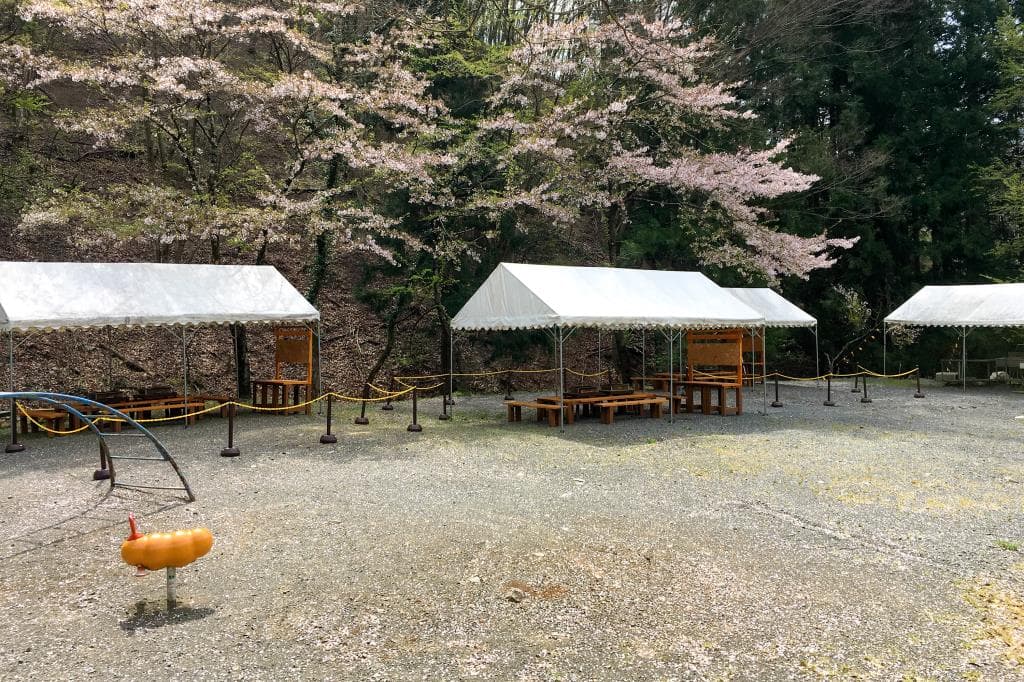 塩沢渓谷河川公園 1