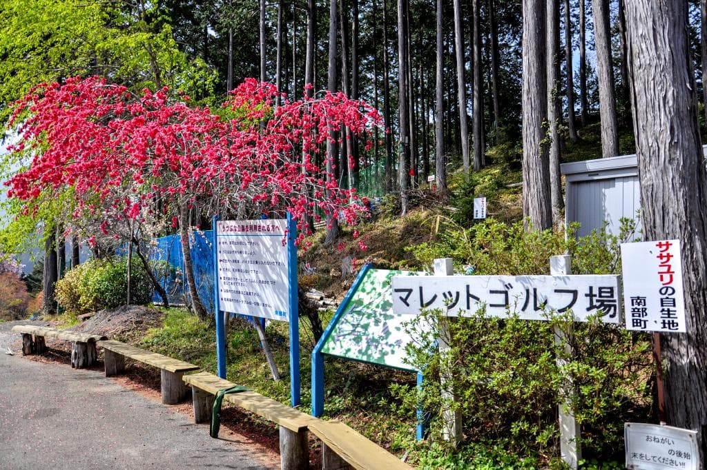 うつぶな公園 5