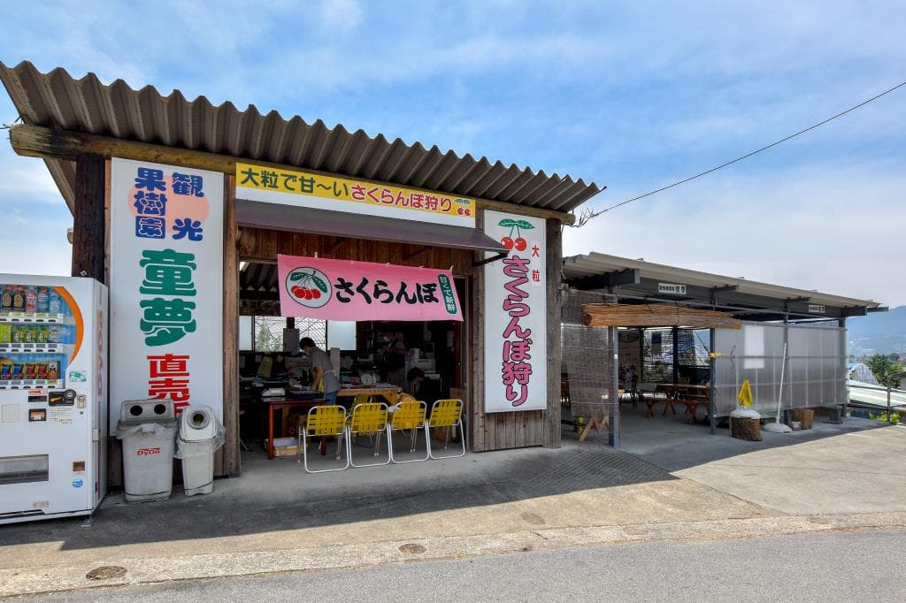 観光果樹園 童夢 1