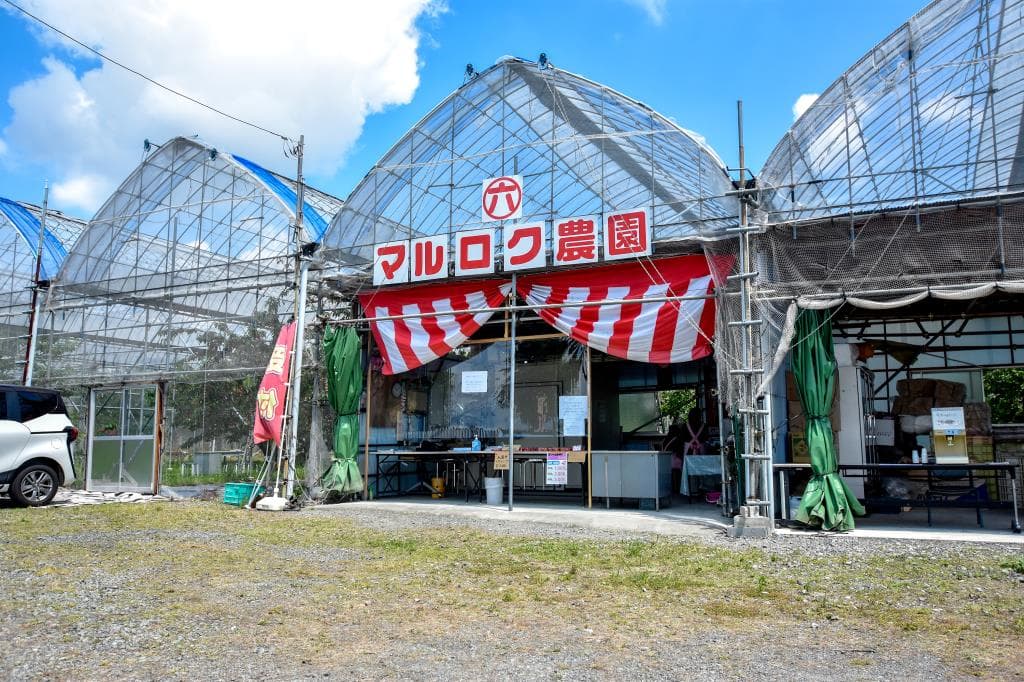 マルロク農園 1