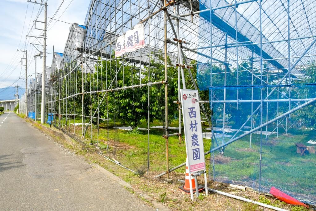 西村農園 1