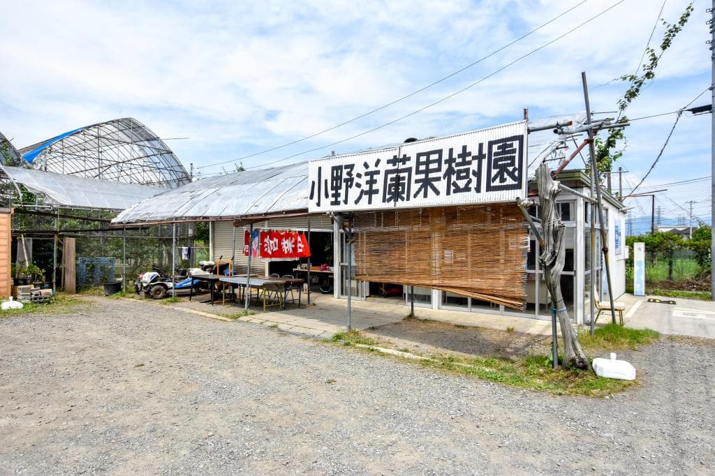 小野洋蘭果樹園 1