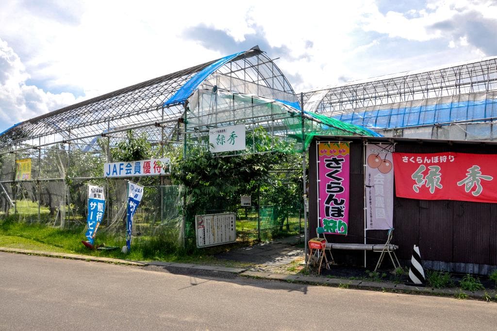 フルーツ農園 緑秀 1