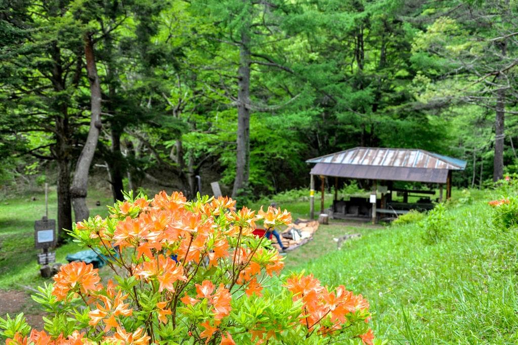 白鳳荘・さわら池キャンプ場 1
