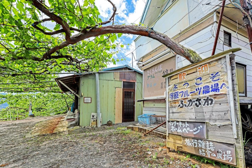 塚原山フルーツ農場ふかさわ 1