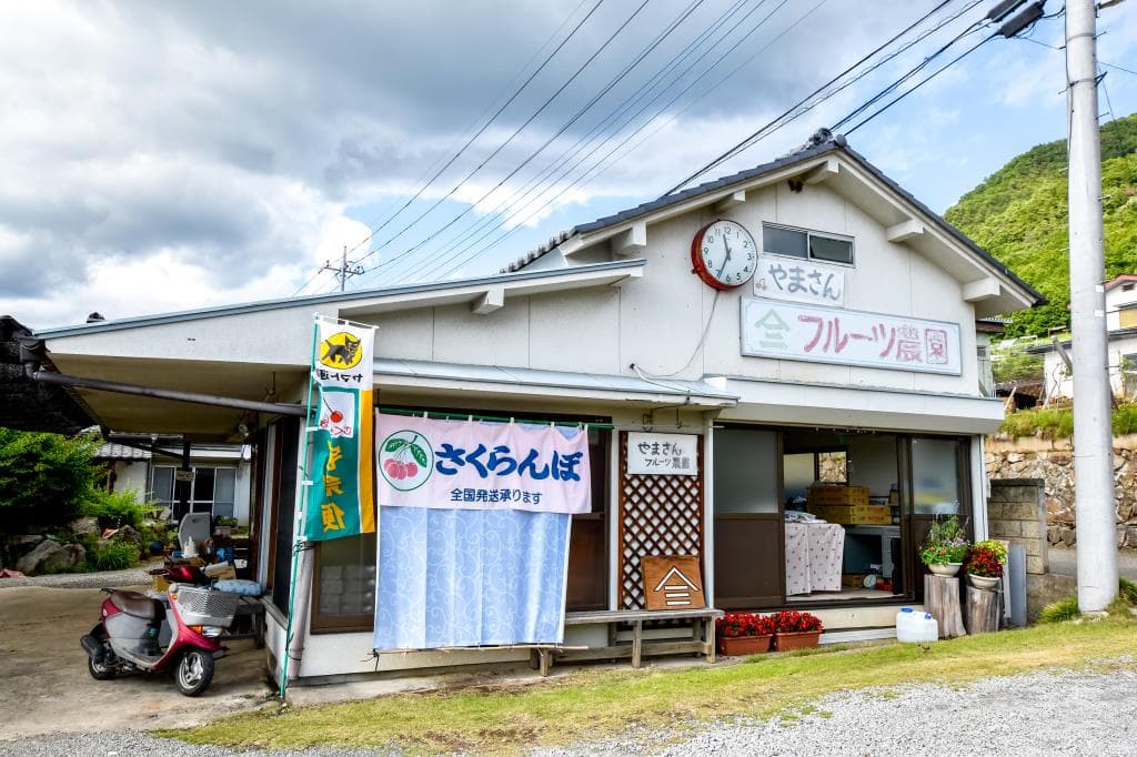 やまさんフルーツ農園 1