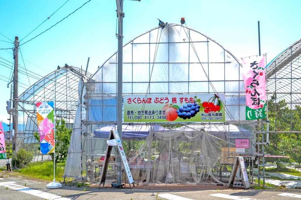 米山しげのぶ農園