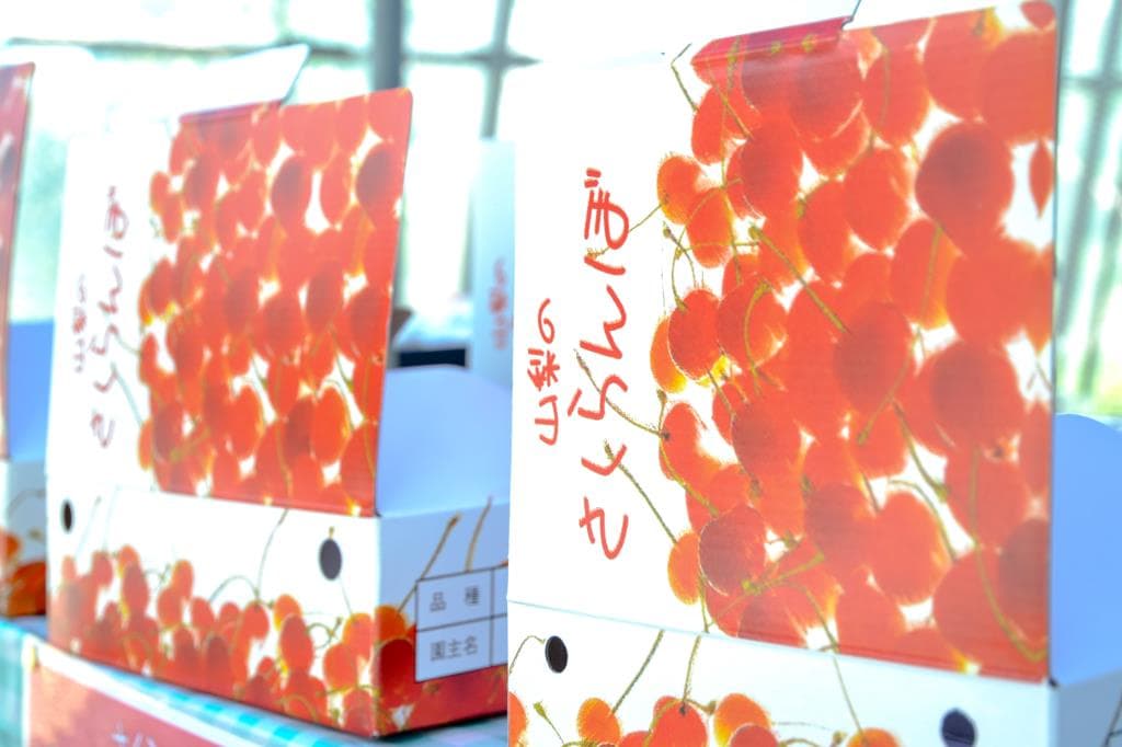 米山しげのぶ農園 5