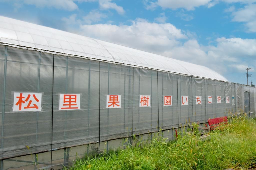 松里果樹園(果物王国) 1