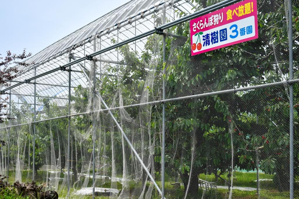 清樹園 1