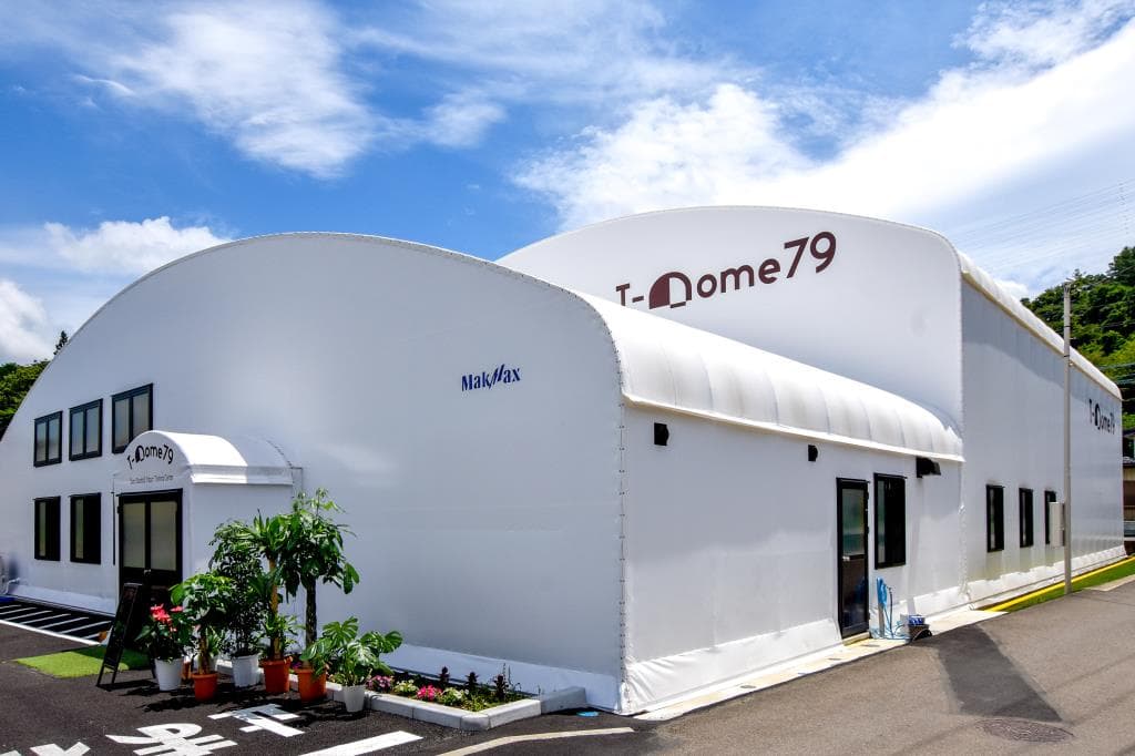 T-Dome79 1