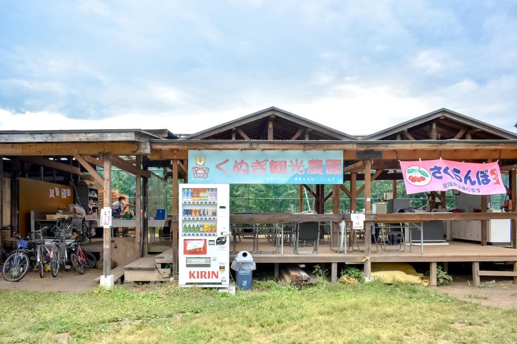 くぬぎ観光農園 1