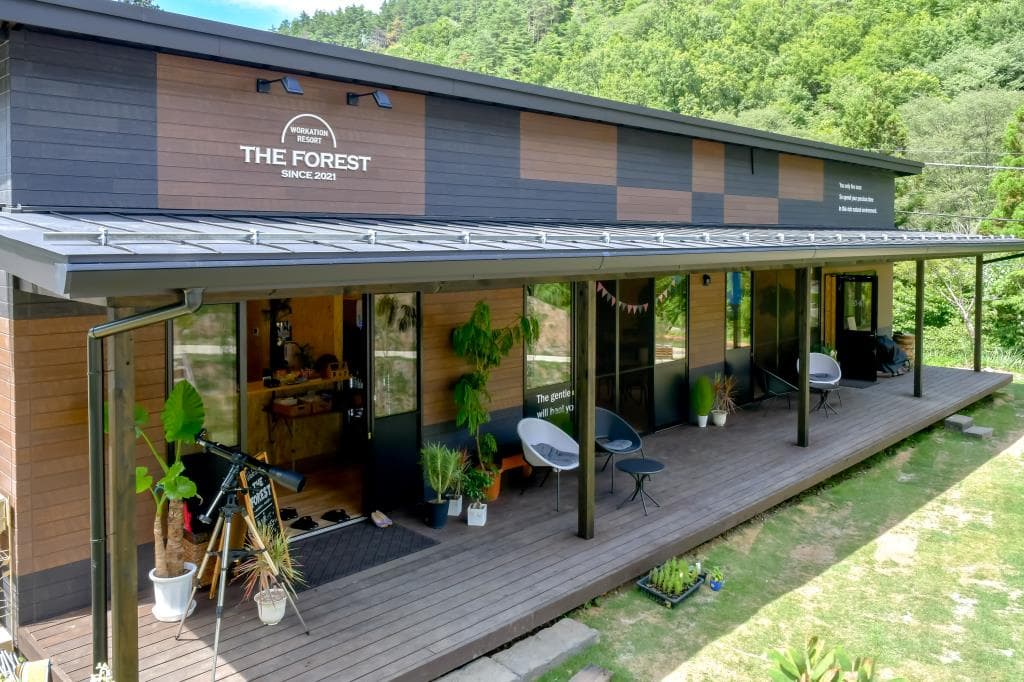 THE FOREST 3