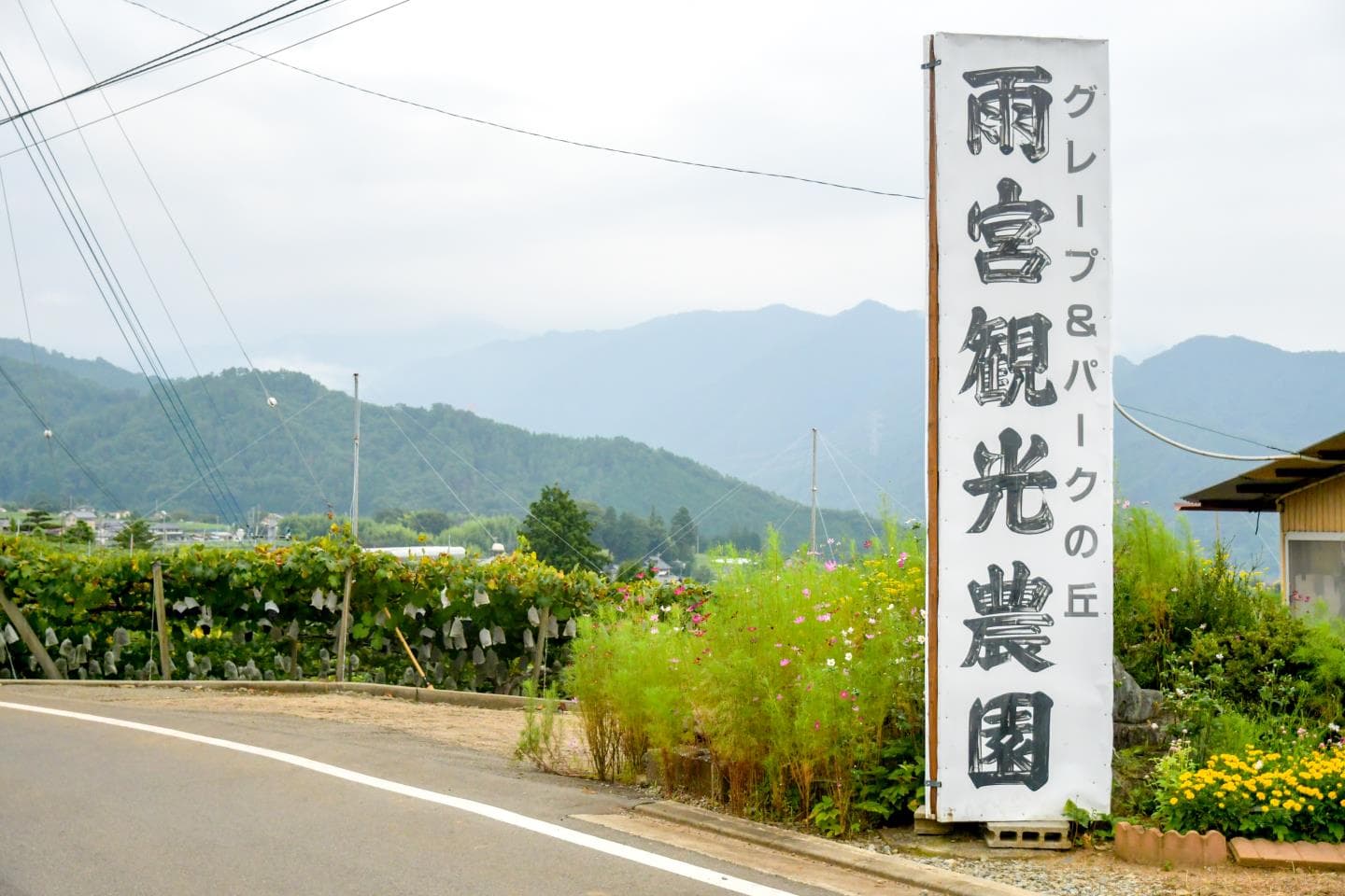 雨宮観光農園 1