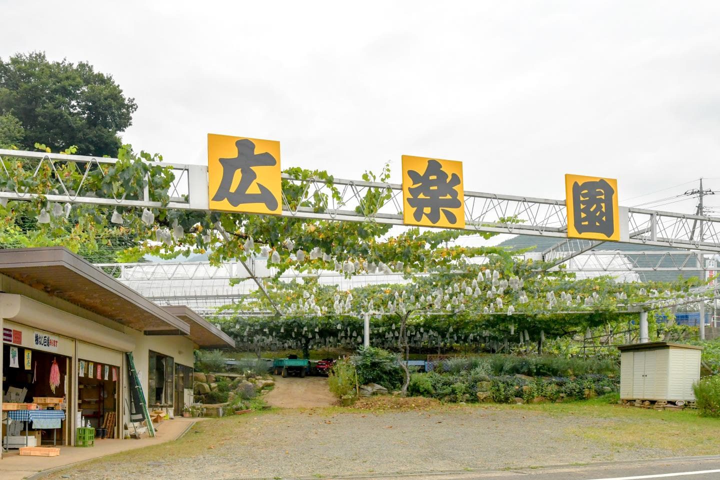 広楽園 1