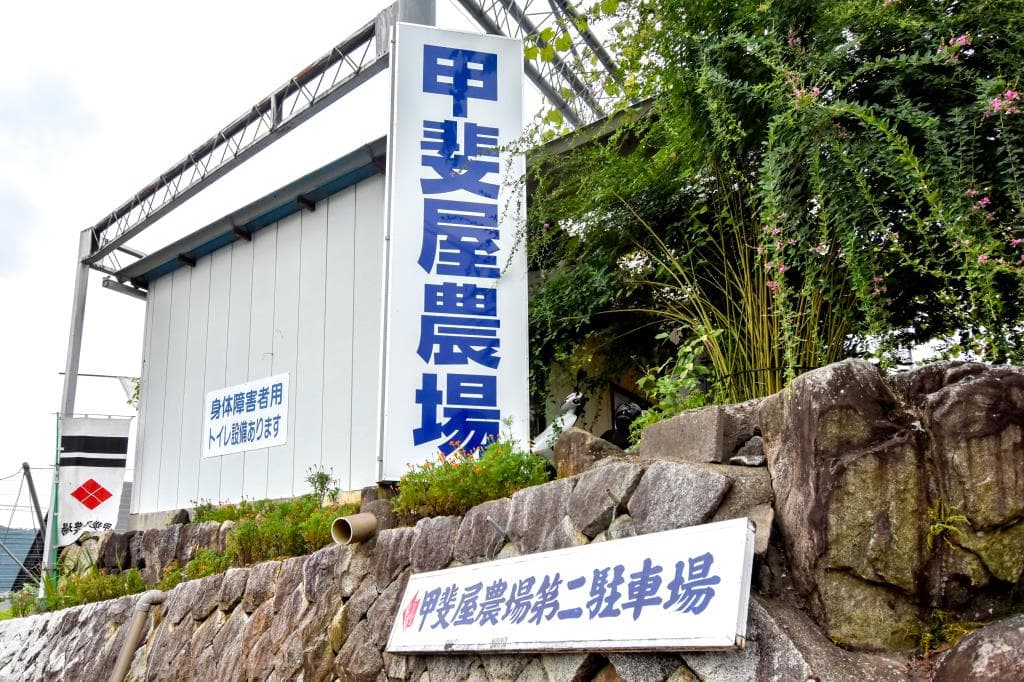 甲斐屋農場 1