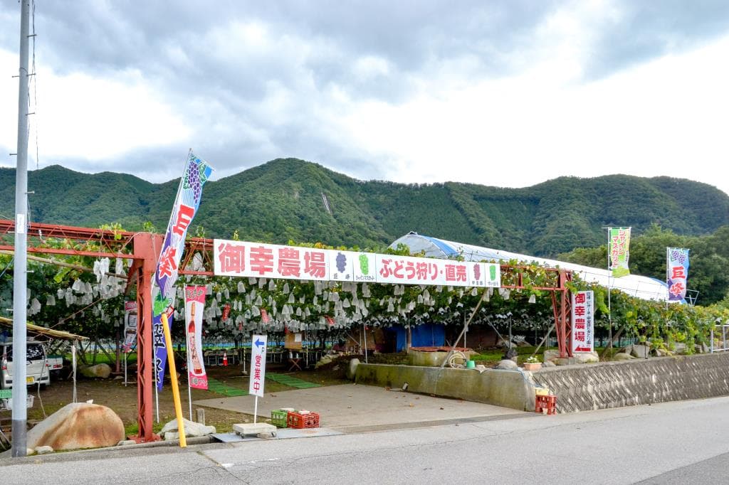 御幸農場 1
