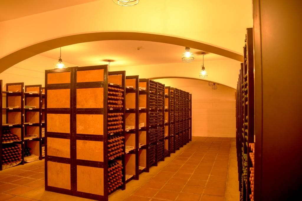 蒼龍葡萄酒株式会社(SORYU WINERY) 5
