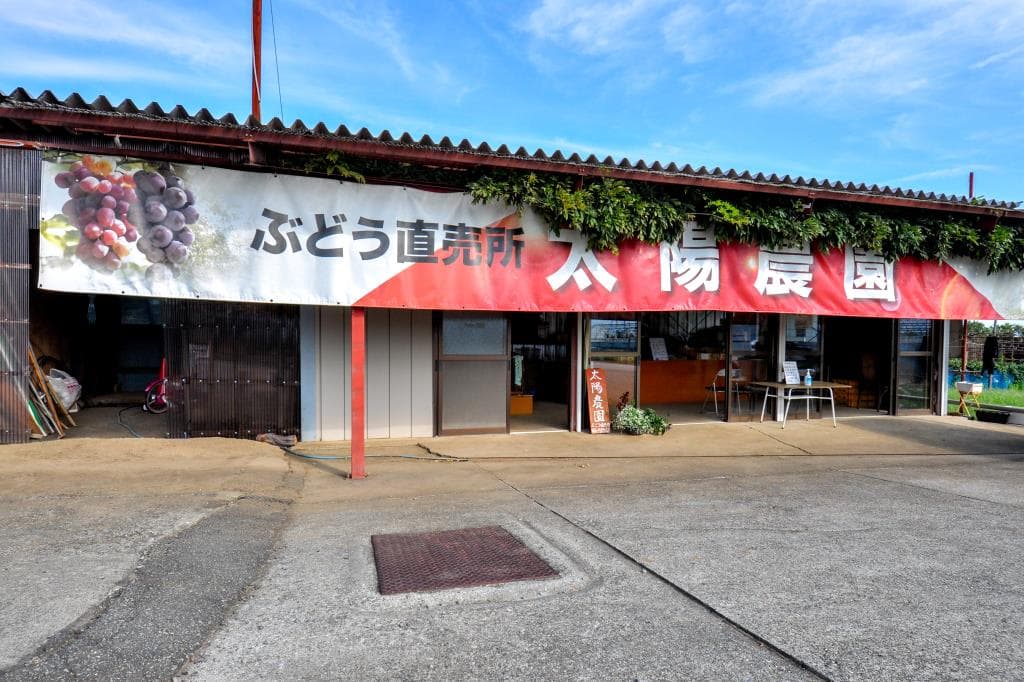 太陽農園 1