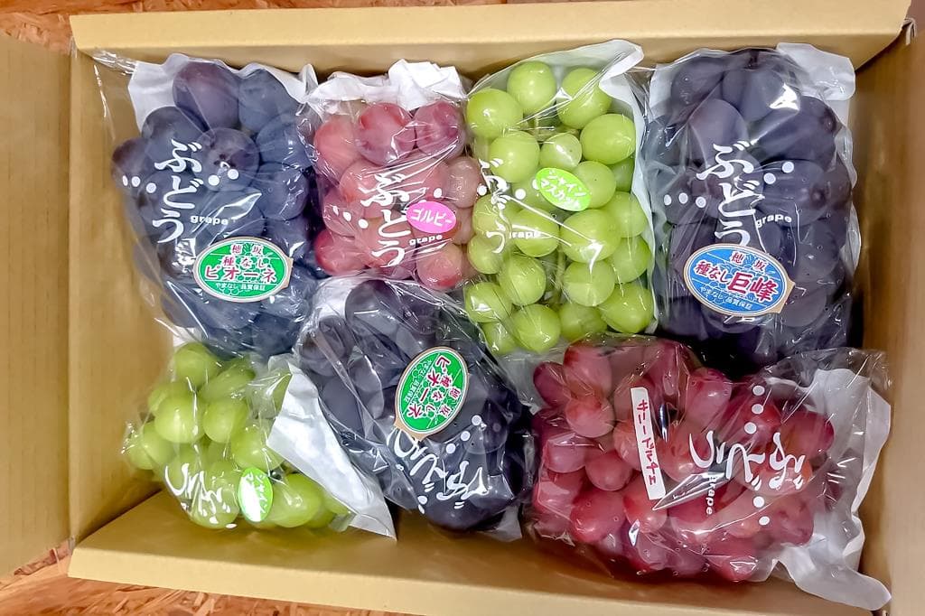富さんのぶどう畑 2