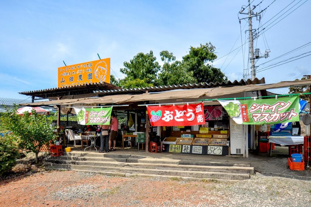 山田農園 フルーツファーム