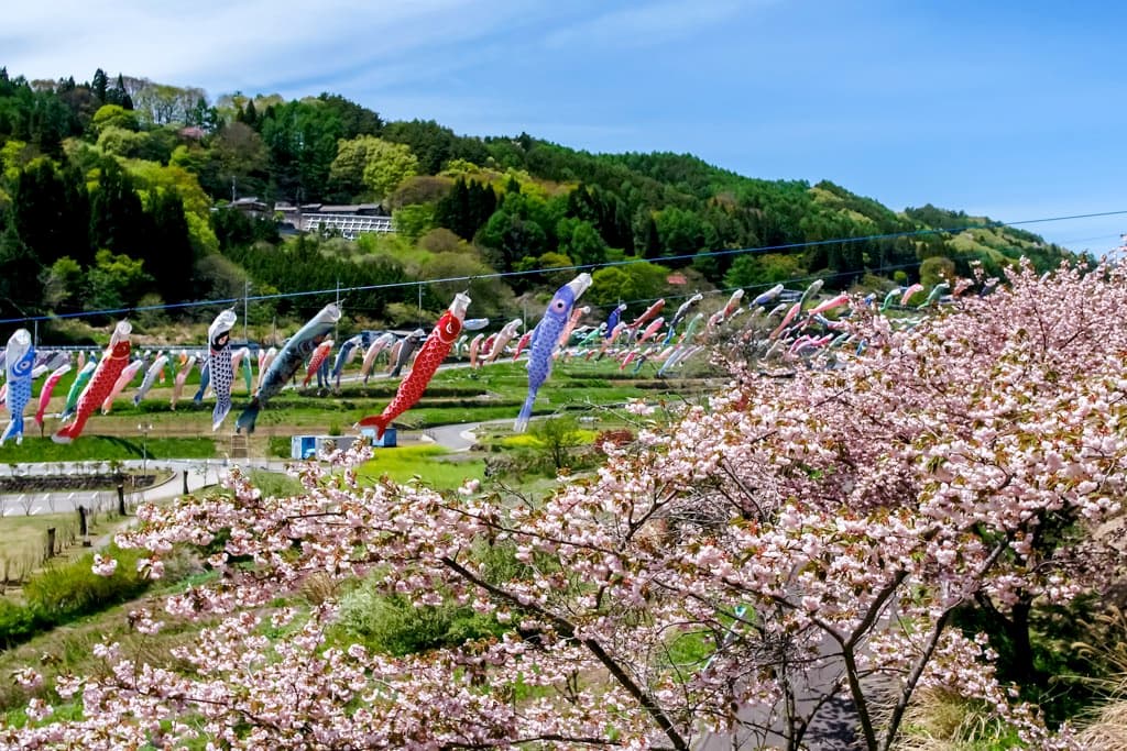 道の駅 南きよさと 4