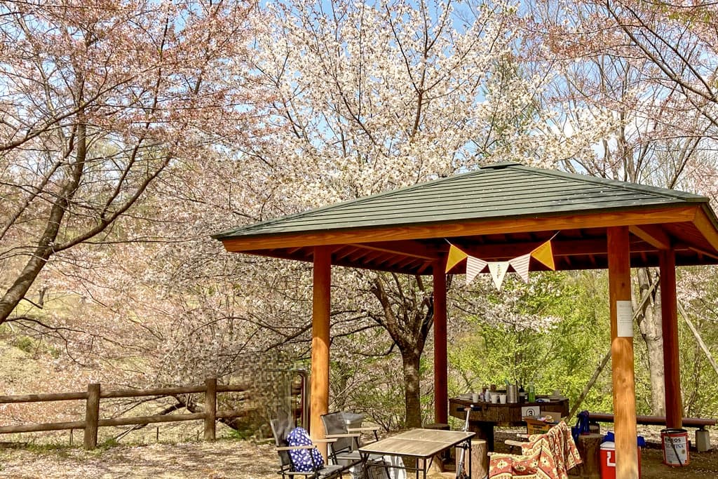 富士川クラフトパーク BBQ場 4