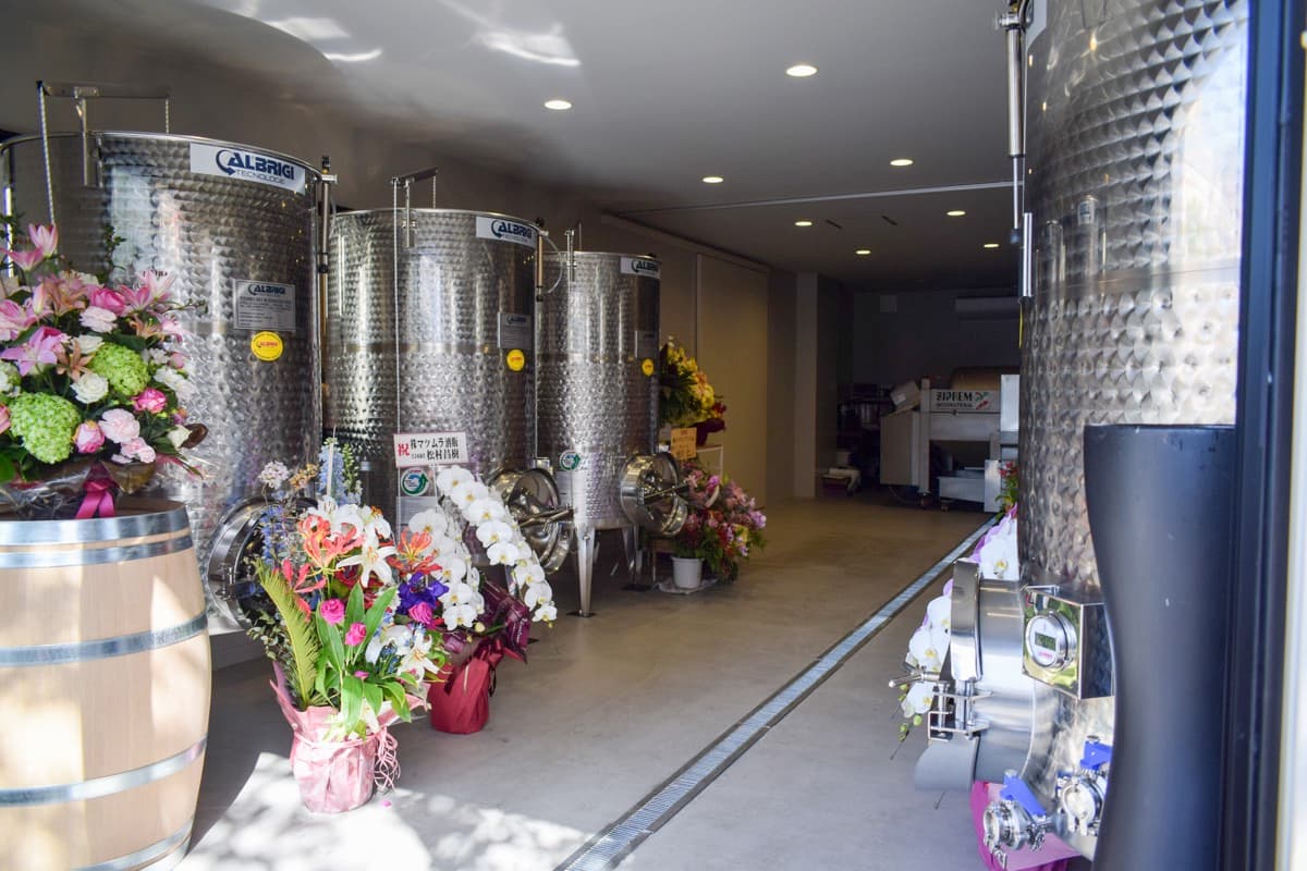 SPRING WINE 3