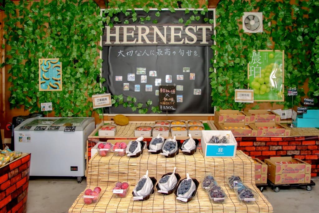 フルーツギフト専門店 HERNEST【移転】 5