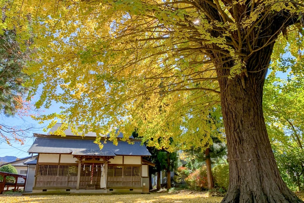 八王子神社 – 都留市 1