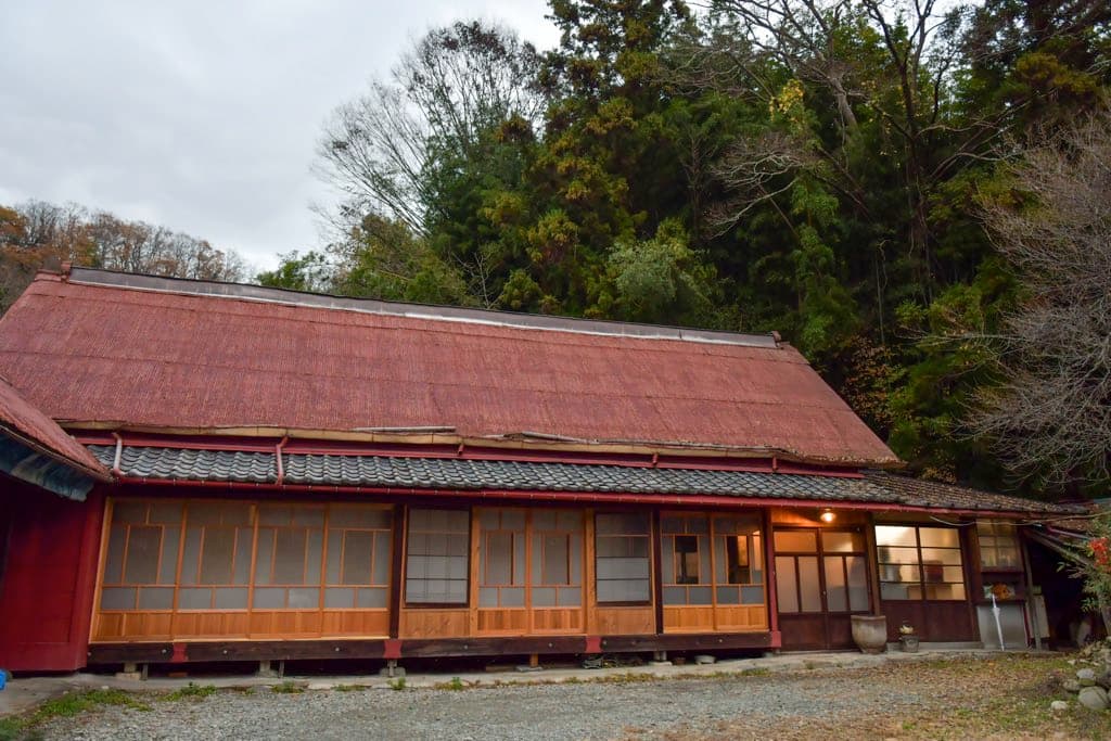 ヤマワラウ手打沢 5