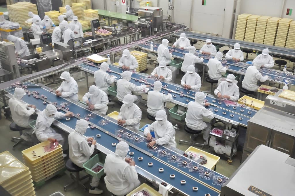 桔梗信玄餅工場テーマパーク 4