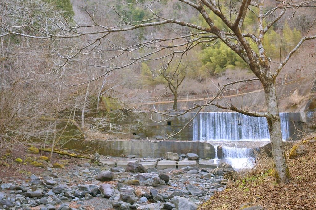 大柳川渓流キャンプ場 4