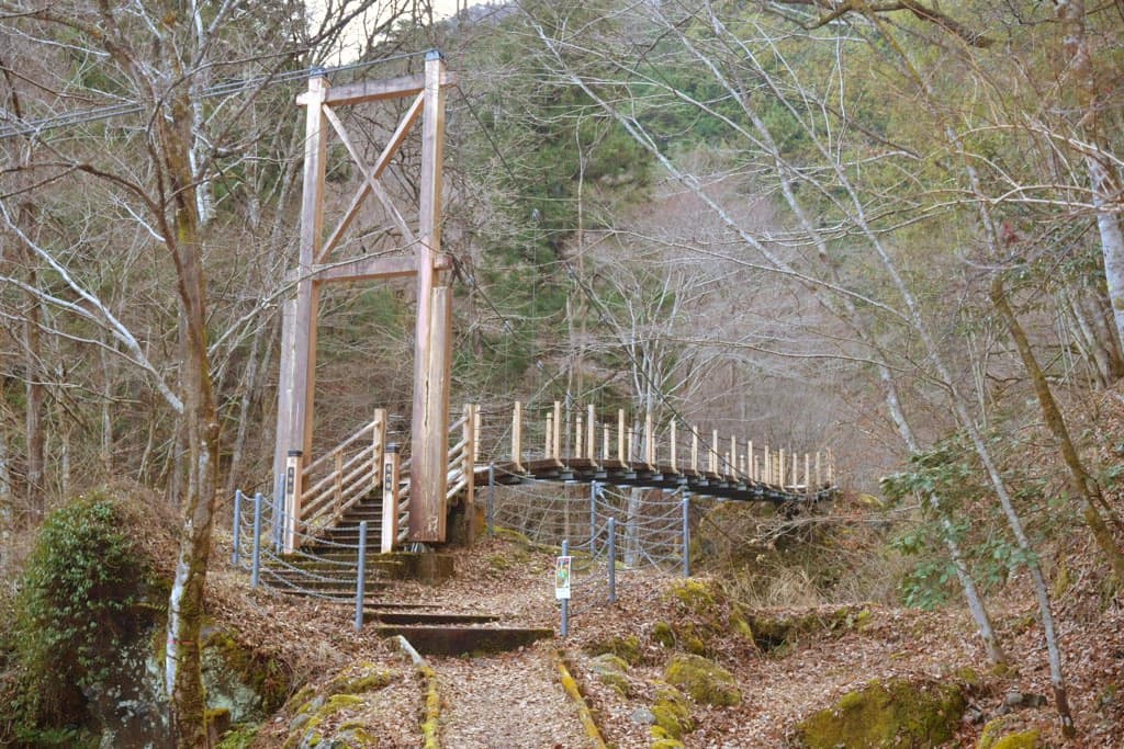 大柳川渓流キャンプ場 5