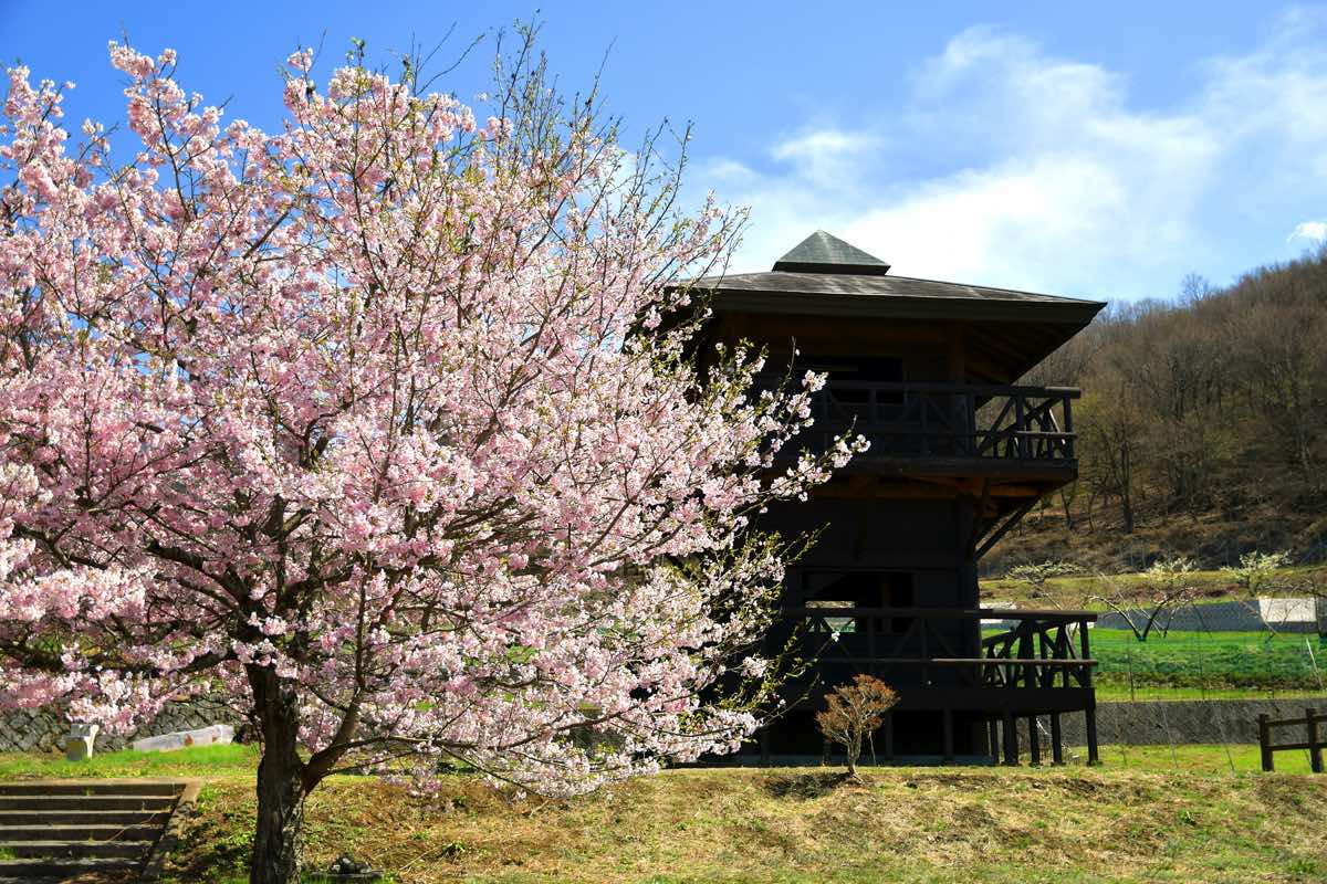 一宮町 花見台 1