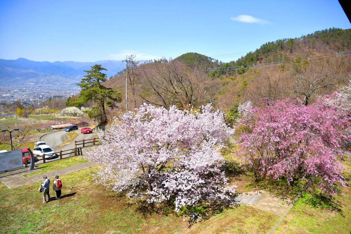 一宮町 花見台 3