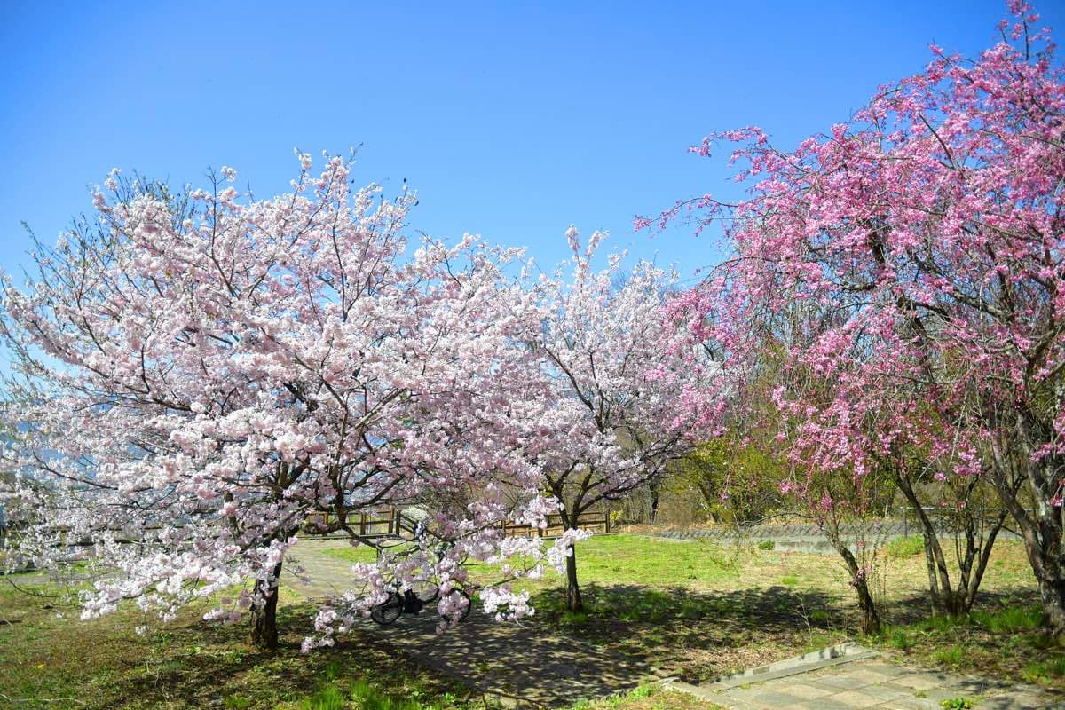 一宮町 花見台 4