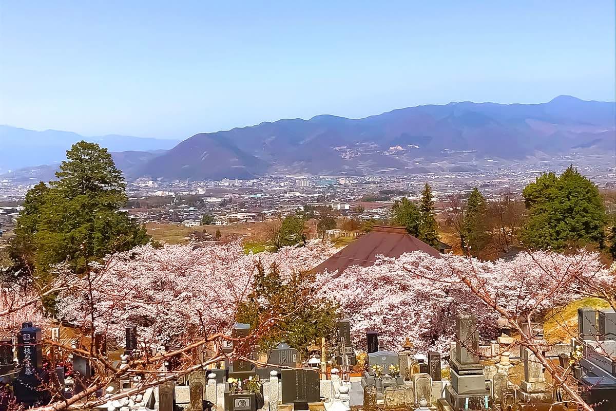 妙亀山 廣厳院 5