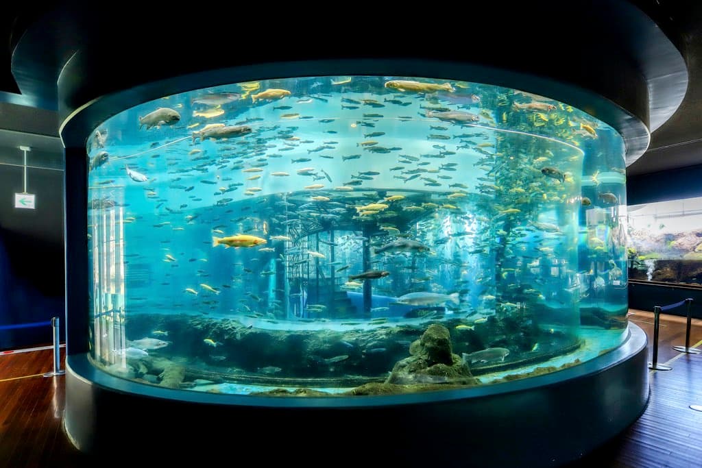 「森の中の水族館。」飼育スタッフに聞いた!水族館のみどころ 1