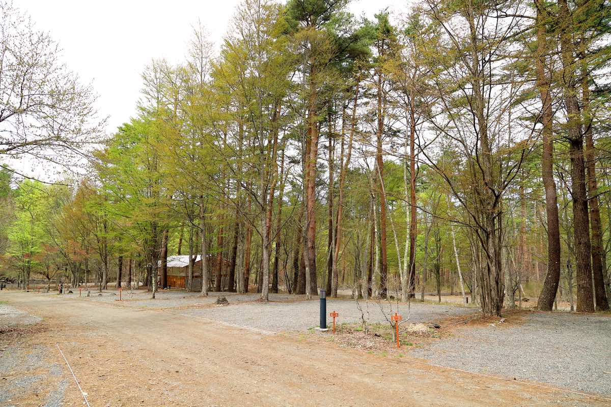 &GREEN CAMP SITE 1