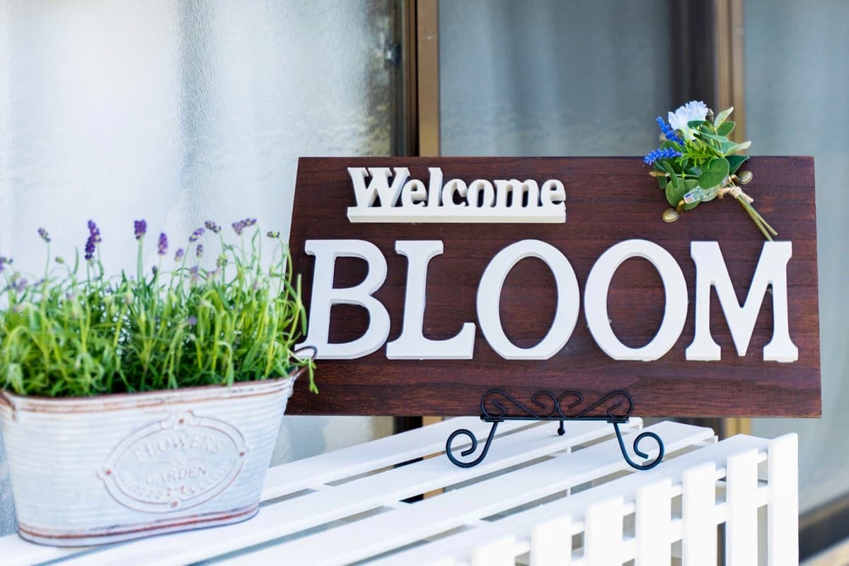 bloom 1