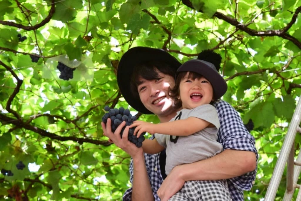 山梨の子連れにおすすめブドウ狩りスポット4選!【2024.9更新】 1
