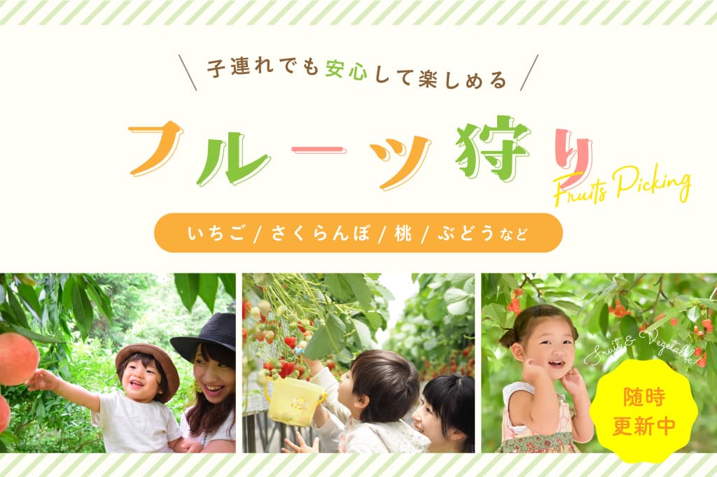 山梨の味覚狩りスポット2024~子どもとフルーツ狩りに行こう! 1