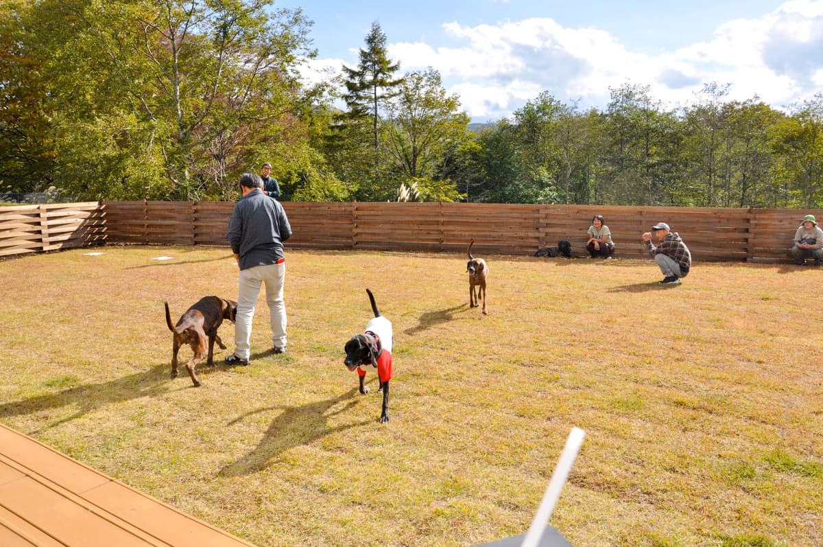 FUJI DOG PARK 山中湖 2