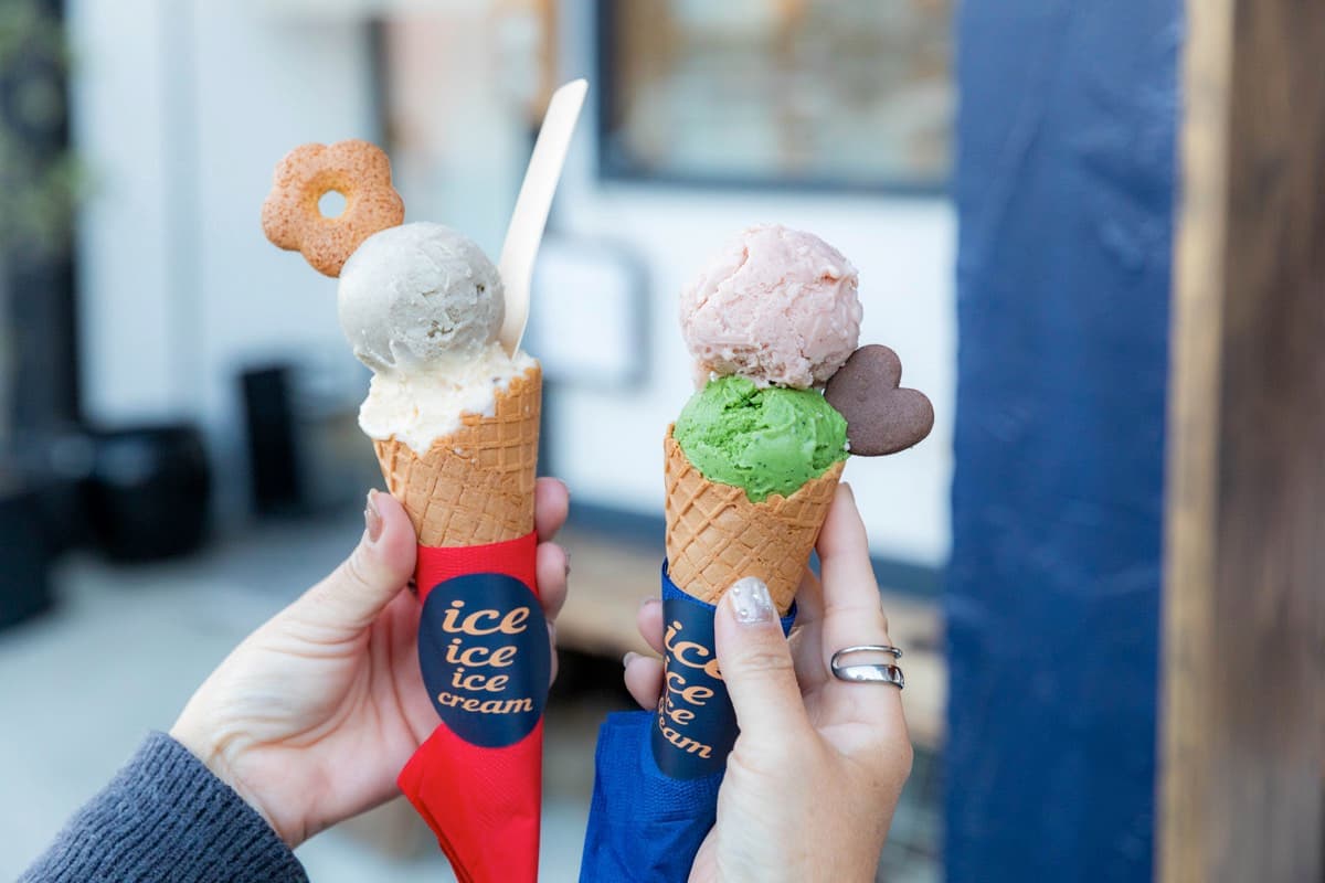 ice ice ice cream 1