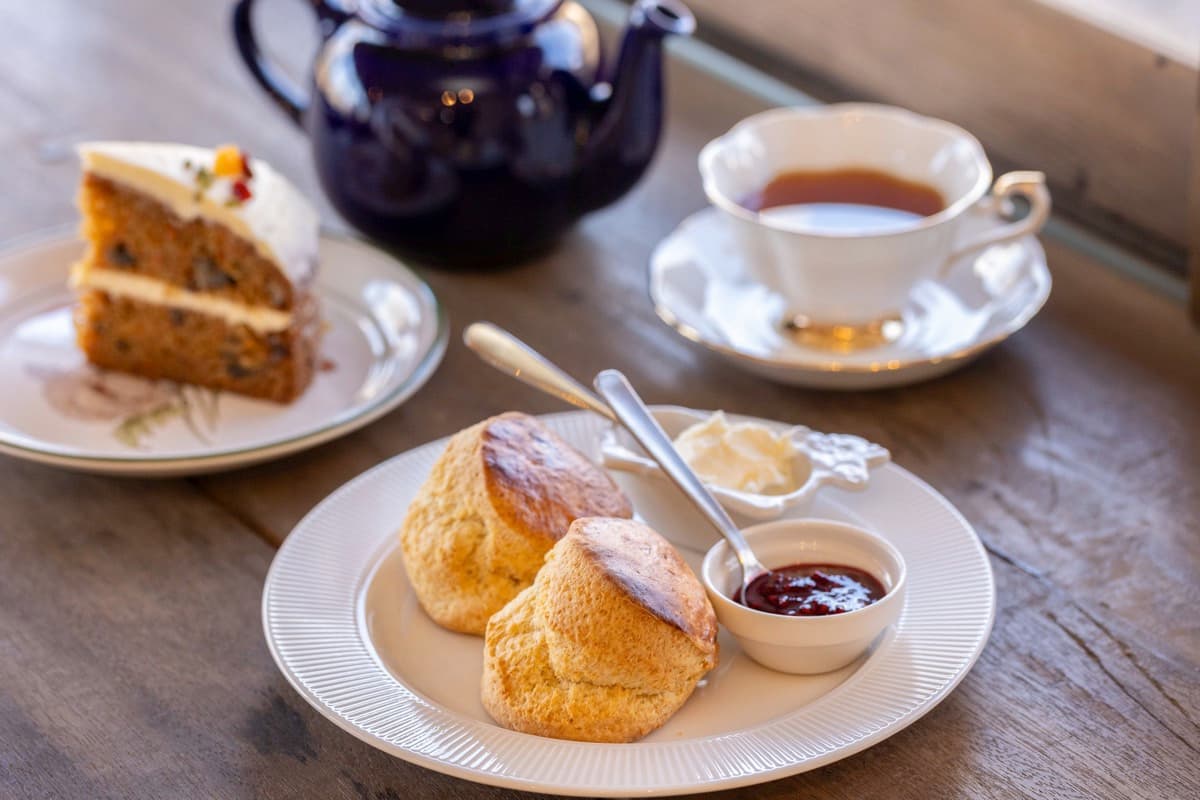 OvenBird BAKE&TEA 1