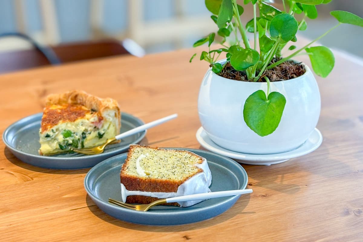 MAINICHI COFFEE 2
