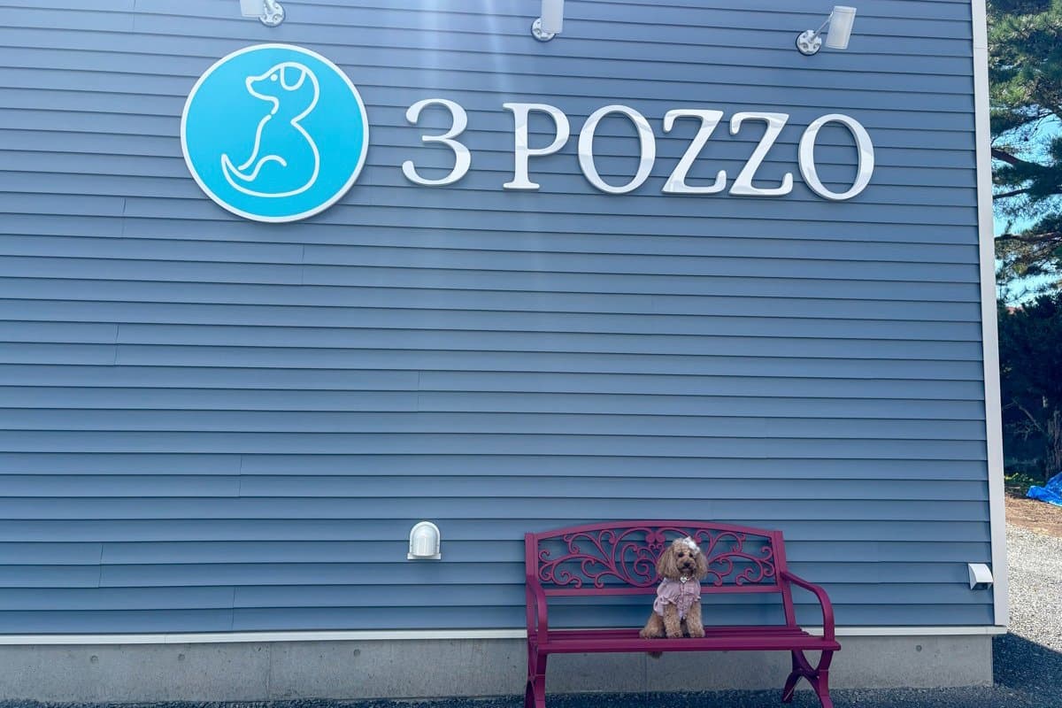 3POZZO cafe
